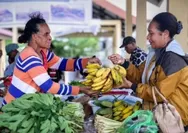 Mengenal Tradisi Manibob di Pulau Biak, Sistem Rekanan Dagang Tradisional yang Merekatkan Ikatan Sosial