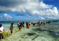 Mengenal Tradisi Sasi Nggama di Perairan Kaimana, Upaya Konservasi Laut dengan Kearifan Lokal