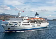Peremajaan Armada Kapal PELNI Perlu Perhatian Khusus Era Pemerintahan Prabowo Gibran, Ini Alasan Transportasi Laut Harus Diperkuat