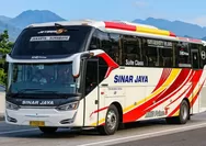 Info Jadwal Bus Sinar Jaya Periode 11 – 20 Juni 2026 Rute Semarang – Kendal – Batang – Pekalongan – Pemalang – Jakarta Lengkap Jam Berangkat