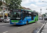 Pekanbaru Rayakan HUT ke-242 dengan Bus TMP Gratis, Simak Syarat dan Ketentuan Penumpang