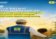 Kronologi Pemadaman Listrik Bergilir di Sejumlah Daerah, PLN Ungkap Kondisi Sistem Kelistrikan, Wilayah Terdampak, dan Upaya Perbaikan