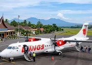 Cek Jadwal Wings Air Rute Surabaya - Sampit Periode 21 - 30 Juni 2026 Jadi Jalur Penting Kalimantan Beserta Kisaran Harga Tiket