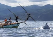Tradisi Berburu  Ikan Paus Lamalera di Nusa Tenggara Timur: Simbol Keberanian, Kebersamaan dan Penghormatan Alam