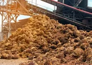 Analisa Peluang Pemanfaatan Limbah Sawit dan Styrofoam Jadi Alternatif Bahan Bakar Kapal