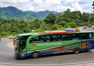 Harga Tiket dan Jadwal PO ALS Rute Jember ke Terminal Amplas Medan Terbaru Periode 11–20 Juli 2026
