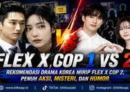 Rekomendasi Drama Korea Mirip Flex X Cop 2, Penuh Aksi, Misteri, dan Humor