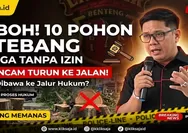 Dugaan Penebangan 10 Pohon Tanpa Izin di Bandung, LBI Ancam Turun ke Jalan Jika Tak Diproses Hukum