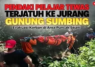Pendaki 16 Tahun Tewas di Puncak Sejati Gunung Sumbing, Terpisah dari Rekan Saat Turun dan Ditemukan SAR di Jurang