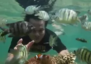 Menjelajahi Keindahan Pulau Lemukutan: Liburan Bersama Karang dan Ikan Nemo