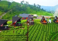 Pengalaman Seru di Nimo Tea Resort: Tempat Healing Mantap di Pangalengan!