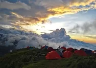 Beneran Gak Mau Menikmati Keindahan Bukit Pergasingan: Destinasi Terbaik untuk Pendaki Pemula
