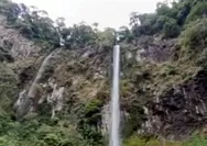 Pesona Alam Curug Cileat: Air Terjun Deras di Tengah Hutan Subang, Jawa Barat