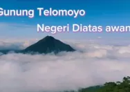 Gunung Telomoyo: Sebuah Tempat Magis yang Menyajikan Pemandangan Seperti Negeri di Atas Awan