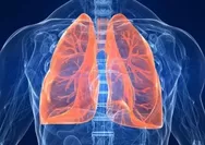 Cara Membersihkan Paru-paru bagi Perokok Berat: Proses dan Tips