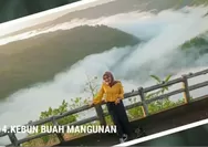 Dijamin Memikat Hati Semua Wisatawan, Inilah 7 Deretan Wisata Terbaru dan Terhits di Bantul Yogyakarta Cocok Sebagai Ide Libur Sekolah