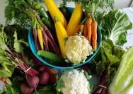 Dahsyat, Ini Lima Manfaat Konsumsi Sayuran Bagi Kesehatan Tubuh