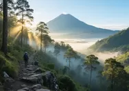 Cocok Untuk Quality Time Bersama Keluarga, 5 Destinasi Wisata Alam Dingin di Sulawesi Tengah yang Cocok Untuk Berakhir Pekan!  