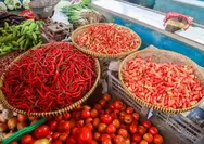 Harga Kebutuhan Pokok Kompak Naik di Momen 17-an, Mendag Busan Buka Suara soal Biang Keroknya