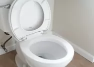 Kebiasaan Main Ponsel di Toilet Bisa Picu Wasir, Dokter Ingatkan Bahaya Duduk Terlalu Lama