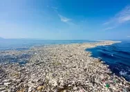 Viral! Pulau Sampah di Pesisir Jakarta Utara Menumpuk, Puluhan Petugas Turun Tangan Bersihkan Lokasi