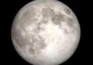 Fenomena Super Moon Ancam Pesisir NTT, BMKG Ingatkan Potensi Banjir Rob