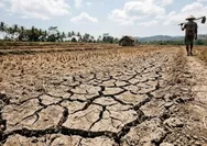 Mendagri Tito Karnavian Minta Kepala Daerah Siaga Hadapi El Nino 2026, Antisipasi Karhutla hingga Krisis Air
