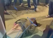 Diduga Curi Ayam Aduan, Pria di Bali Tewas Dikeroyok Massa, Video Tangisan Anaknya Viral