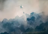 Ledakan Amunisi Sisa Perang Dunia II Gegerkan Prancis, Picu Kebakaran Hutan di Gironde