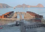 NTT Diguncang Gempa M 7,7 hingga Air Laut Labuan Bajo Sempat Surut