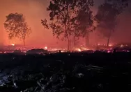 Empat Korporasi di Kalbar Diselidiki Terkait Karhutla, Pemerintah Buka Opsi Cabut Izin