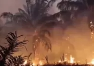 Ribuan Titik Api Kepung Papua Tengah, Karhutla di Nabire Paling Parah dan Sulit Dijangkau