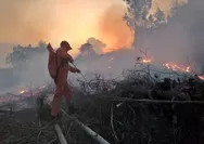 40 Bangunan Rata dengan Tanah, Polisi Selidiki Penyebab Kebakaran Maut di Paniai Timur yang Tewaskan 11 Orang