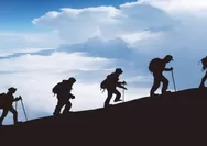 7 Pendaki Terjebak di Gunung Nokilalaki, Logistik Habis hingga Tim SAR Bergerak