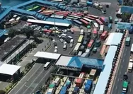 Antrean 7,8 Km Mengular ke Arah Ketapang, Sopir Truk Bikin Arus Lalu Lintas Tersendat