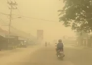 Respon Keluhan Asap Karhutla yang Sampai Negara Tetangga, Syahganda: Kita Juga Kirim Oksigen