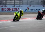 3 Risiko yang Mengintai Jika Nekat Gunakan Oli MotoGP di Motor Biasa 