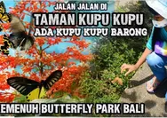 Taman Kupu-kupu Bali: Tempat Wisata Edukasi dan Konservasi Kupu-kupu Terbesar di Indonesia