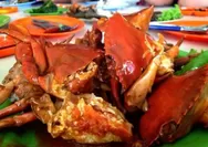Mau Tau Kelen Tempat Kuliner Laut Terbaik di Tanjung Pura? Rilexs Seafood
