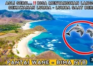  Keindahan Pantai Wane: Destinasi Wisata Alam yang Menarik di Nusa Tenggara Barat