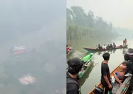 Sebut 54 Hektare Terbakar, Relawan TNPT Desak Pemerintah Tangani Karhutla dalam Skala Besar: Sebelum Semuanya Terlambat