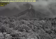 Muntahkan Abu Vulkanik Setinggi 1 Km, Status Gunung Semeru di Level Siaga