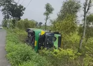 Bus Trans Jatim Alami Kecelakaan Di Mojokerto, Terguling ke Kebun Cabai Milik Warga