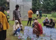 Solusi Urban Farming di Lahan Sempit: Hidroponik Sistem Sumbu Mudah dan Hemat Biaya