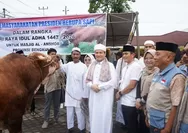 Sapi Kurban Bantuan Presiden Diserahkan untuk Masjid Al Anshor Kota Bengkulu