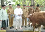 SIG Salurkan 292 Hewan Kurban di 19 Provinsi, Warga Sekitar Pabrik Ikut Rasakan Manfaatnya
