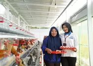 Layani 23,3 Juta Nasabah, PNM Perkuat Budaya Kepatuhan demi Jaga Kepercayaan Publik
