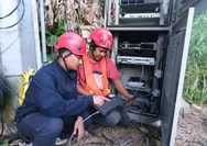 Internet Ngebut di Tengah Ribuan Penonton! Telkomsel Pastikan Pengalaman Digital Terbaik di Konser Papua Van Java