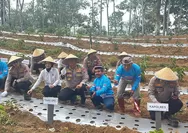 Polres Lebong Ikuti Penanaman Bawang Putih Serentak, Dukung Program Swasembada Pangan Nasional