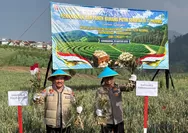 Tawangmangu Jadi Andalan Bawang Putih Jateng, Panen 1,25 Ton Dukung Ketahanan Pangan Nasional